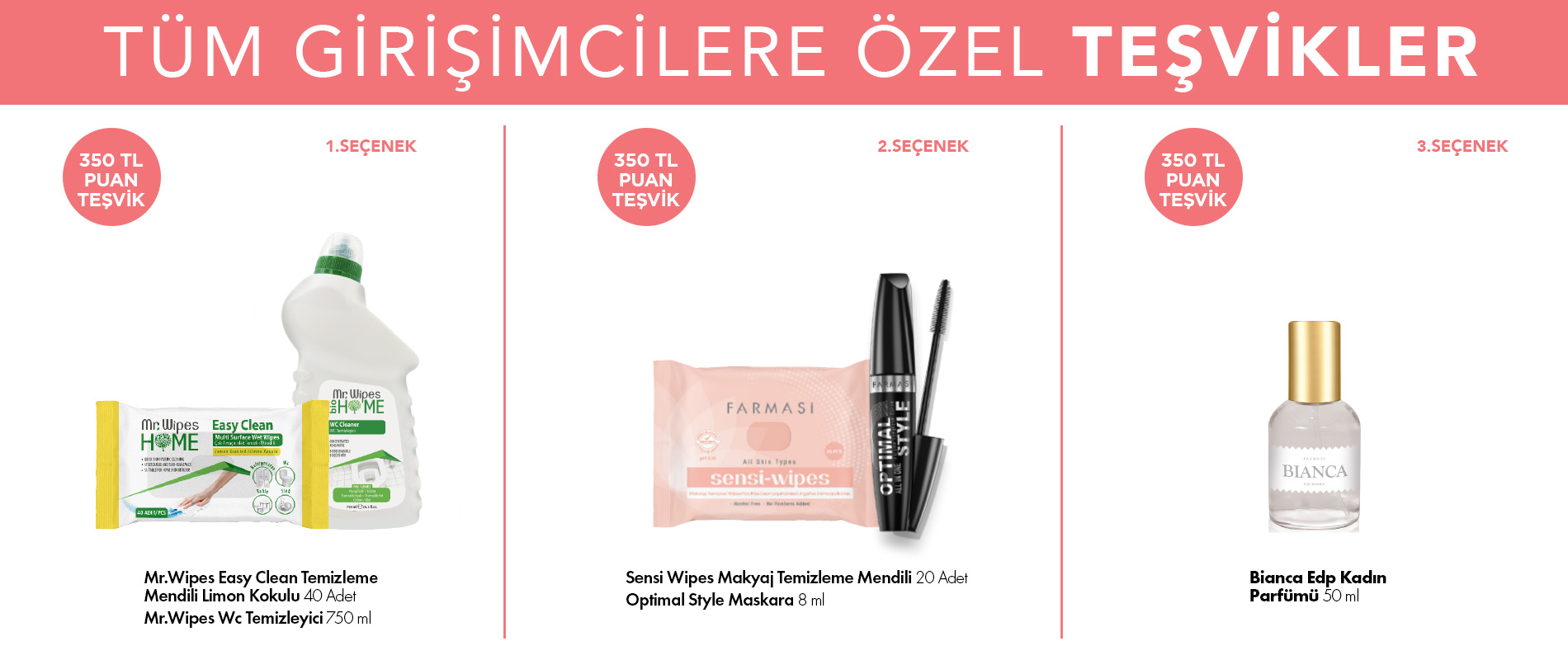 tum girisimcilere ozel 350 tlp tesvikler