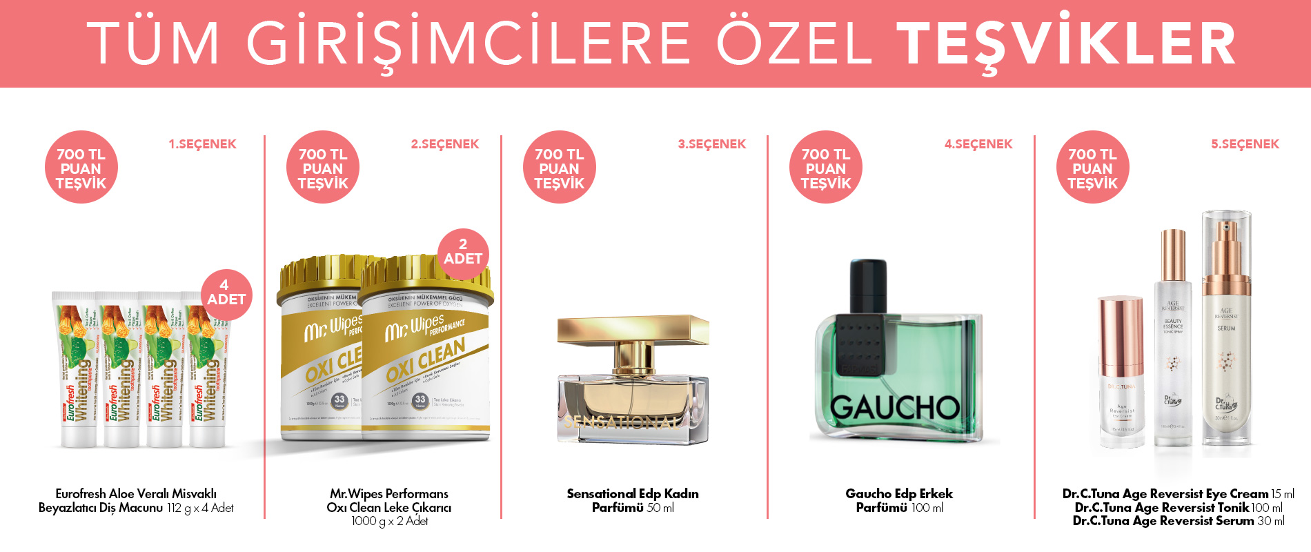 tum girisimcilere ozel 700 tlp tesvikler4248e1