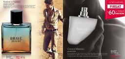 brave-desert7bc978